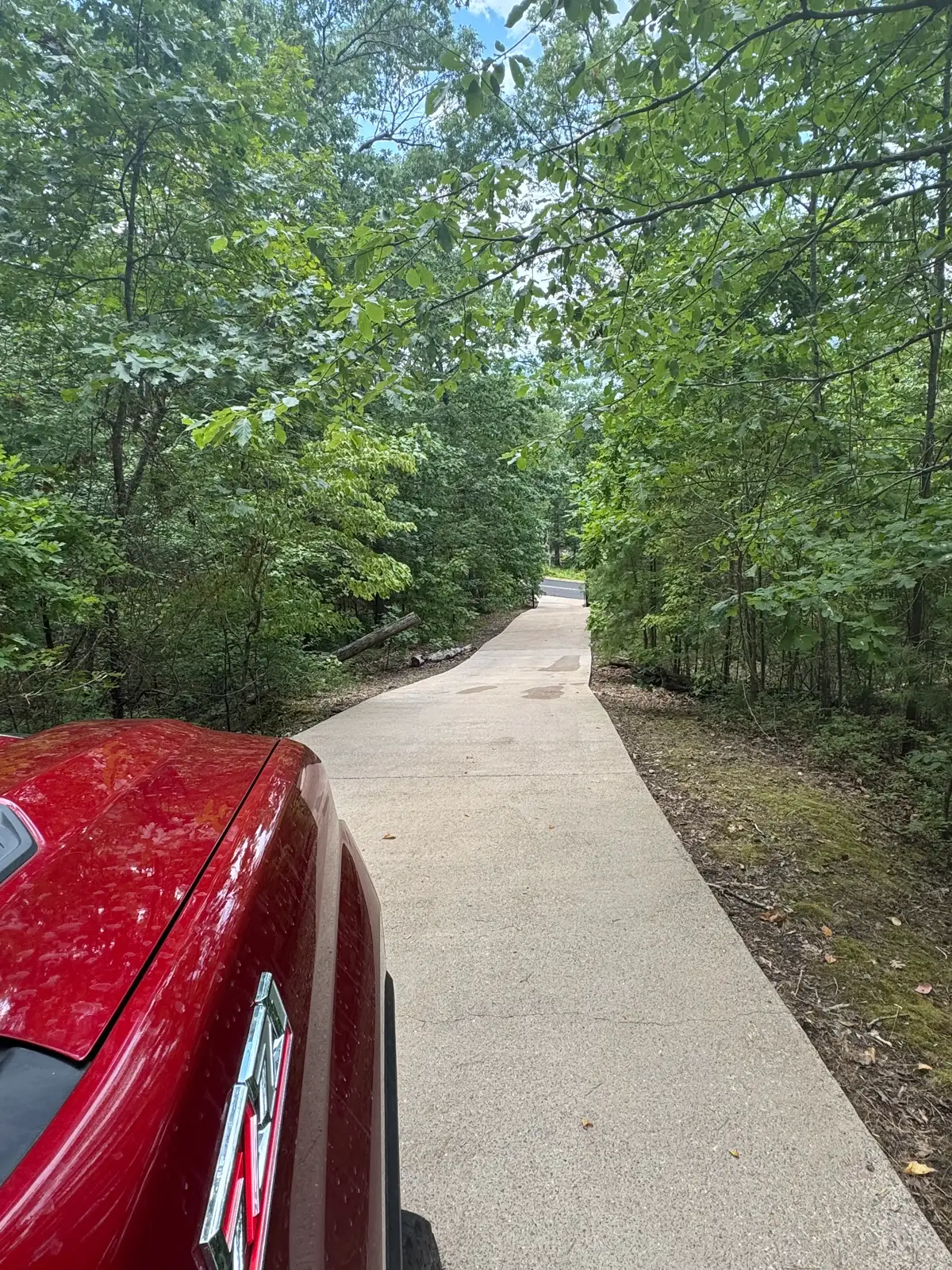 Professional driveway power washing in Heber Springs, Arkansas — forest road