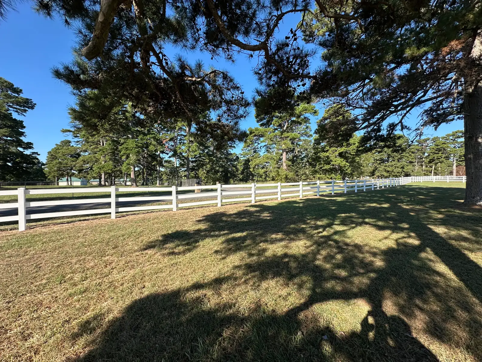 Professional fence washing in Heber Springs, Arkansas — shaded yard
